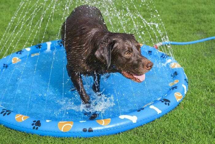 Bestway Fetchin' Fun plaskedug